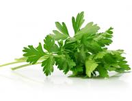 Листья петрушки