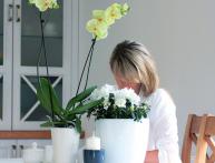 умный горшок для цветов с автополивом