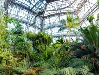 отличия оранжереи от зимнего сада