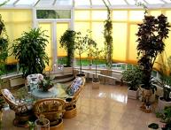 что такое зимний сад