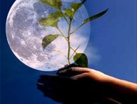 Дни, подходящие для посадки по Лунному календарю