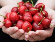 вишня, черешня