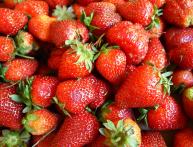 Трудности при выращивании земляники