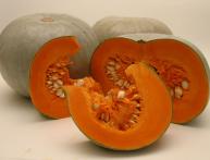 агротехника тыквы