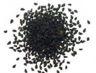 Посадка лука чернушки