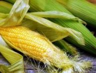Чем полезна кукуруза