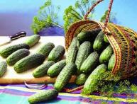 Лучшие сорта огурцов
