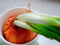 зеленый лук