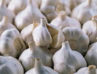 Чеснок