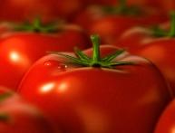 Помидор