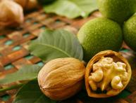 Орехи
