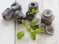 Торфяные таблетки