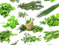 Пряные травы