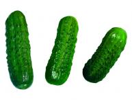 Урожайные огурцы "Емеля"