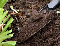 Кислотность почвы