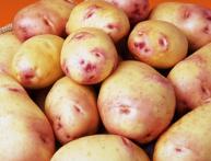 Ранний картофель