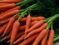 Морковь