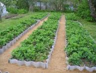 Грядки по Миттлайдеру