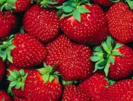 Клубника домашняя