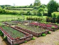 Севооборот