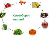 Севооборот