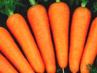 Морковь