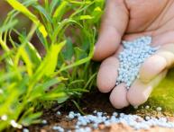 Минеральные удобрения