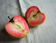 Розовый жемчуг