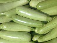 Zucchini