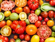 Томаты в теплице