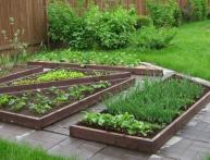 Пластиковая доска