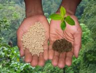 Калийные удобрения