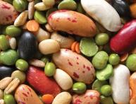 Представители бобовых