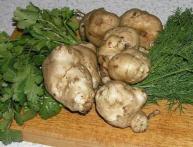 топинамбур