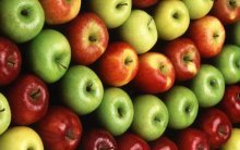 Популярные сорта яблонь с фото и их зональность