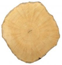 древесина граба