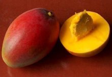плодоношение манго