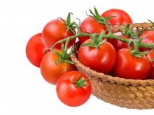 урожайные сорта томатов