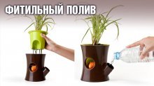 горшки с автополивом для орхидеи