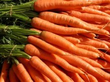 Морковь с грядки