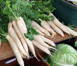 daikon