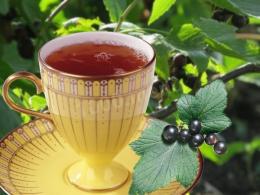чай из смородиновых листьев польза и вред