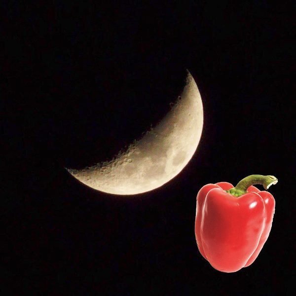 Лунный календарь посевной на 2020