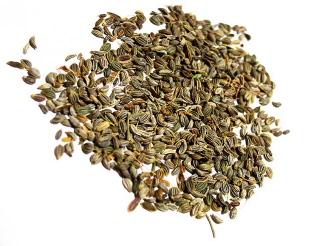 Курчавая петрушка запрещена