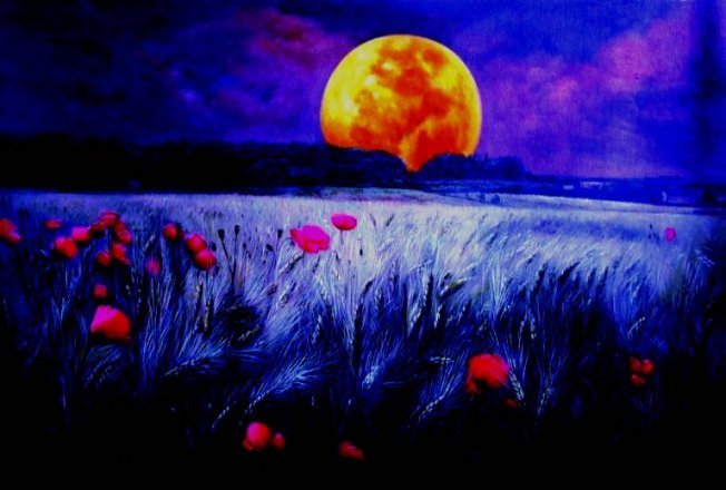 Сегодня по лунному календарю Сегодня по лунному календарю