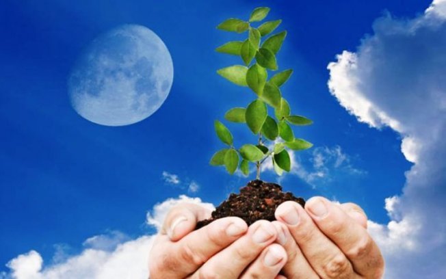 Сегодня по лунному календарю Сегодня по лунному календарю