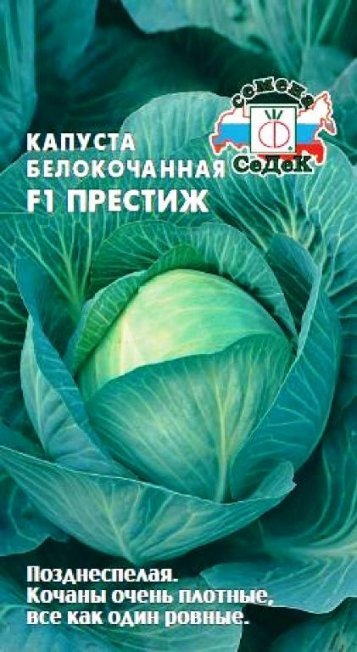 Семена гибрида Престиж