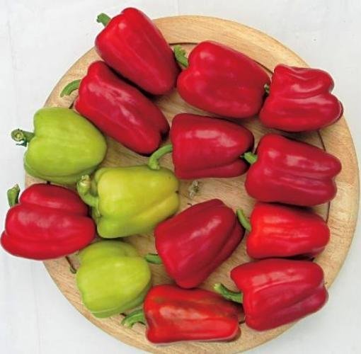 Урожайность перца