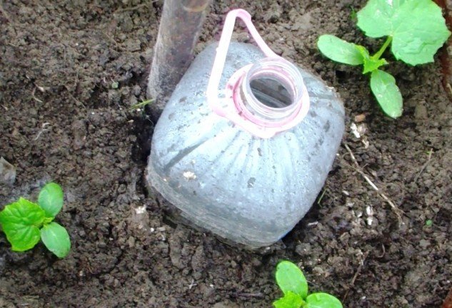 Полив из углубленной в грунт фляги