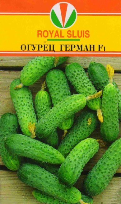Семена огурцов Герман F1
